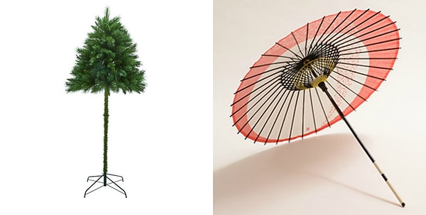 2. Дерево достигает 1,8 м в высоту и напоминает зонтик.