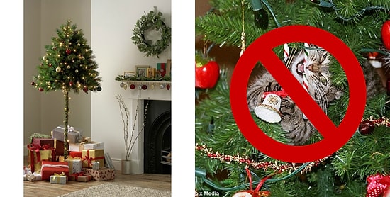 Британская компания начала выпускать елки для владельцев кошек