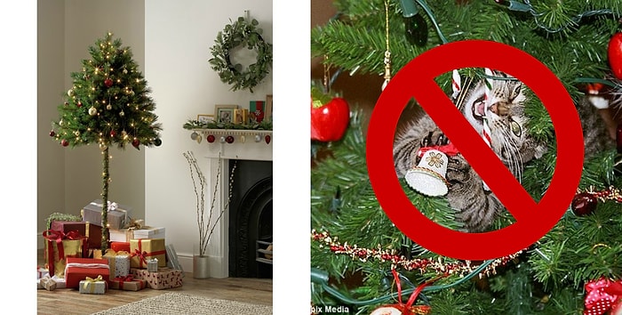 Британская компания начала выпускать елки для владельцев кошек