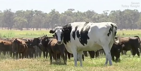 8. А здесь она словно цитирует Оскара Уайльда: «Будь собой, остальные роли заняты!» 🤣