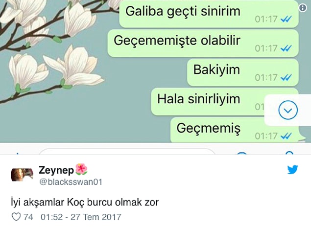 1. Öncelikle koç burcu kadınına bir şey söylerken 2 kere düşünmeniz gerekiyor. Karşısında saçmalayan bir insan varsa sinirlenir.