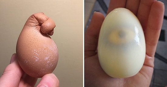 17 странных яиц, которые меньше всего захочется употреблять в пищу