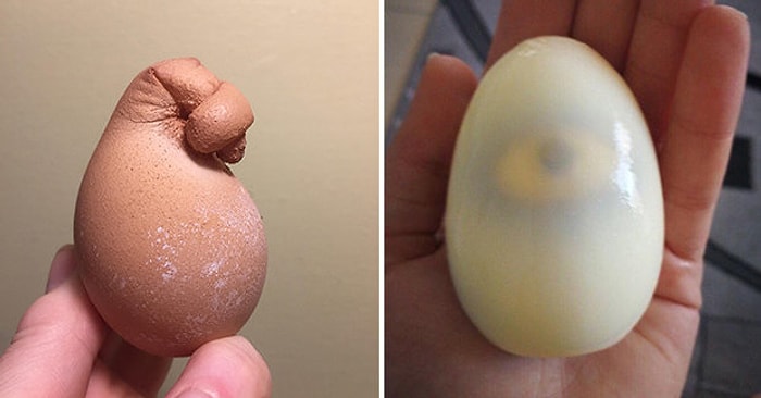 17 странных яиц, которые меньше всего захочется употреблять в пищу