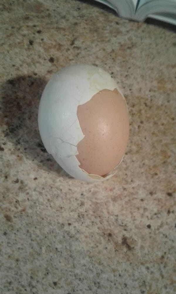 6. Яйцо с двойной защитой