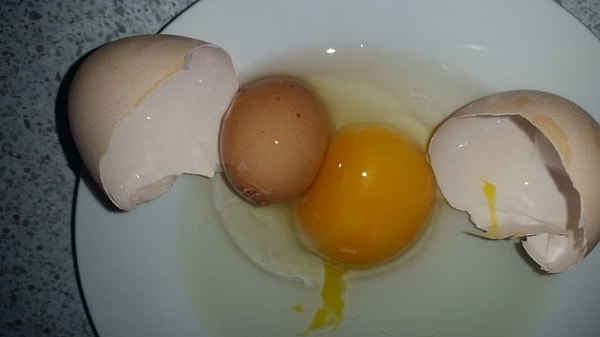 8. "Мы встроили вам в яйцо еще одно яйцо, чтобы вы могли..."