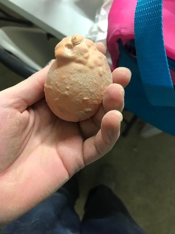 11. А это точно яйцо?