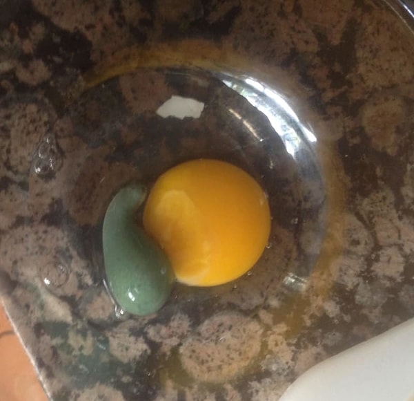 13. Вот так сюрпрайз внутри