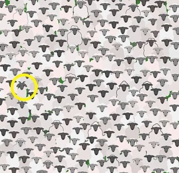 Вот он хитрюга: