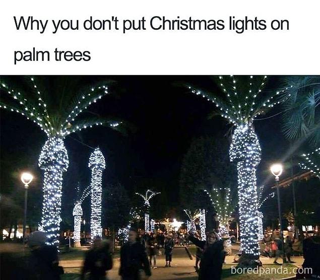 7. Christmas lights on palm trees?