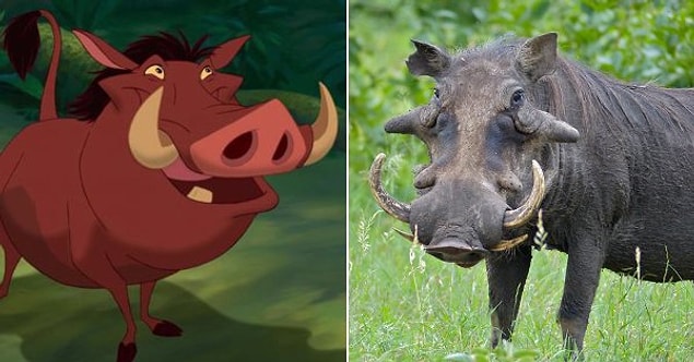 7. Pumbaa – “The Lion King” / Warthog