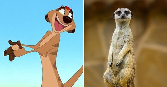 4. Timon – “The Lion King” / Meerkat