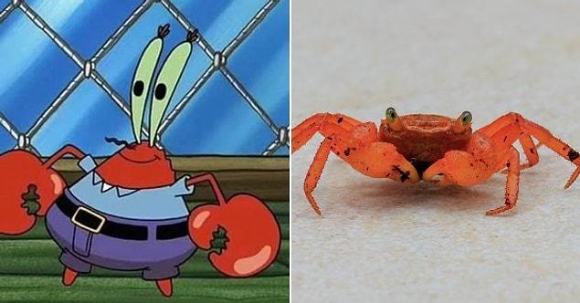 3. Mr. Krabs – “SpongeBob SquarePants” / Red Crab