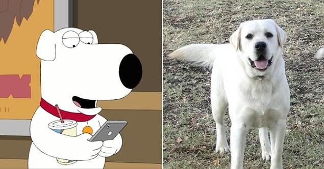 5. Brian Griffin – “Family Guy” / White Labrador