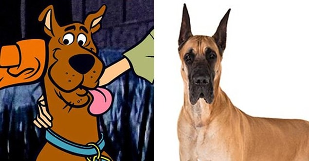 6. Scooby-Doo – “Scooby-Doo” / Great Dane