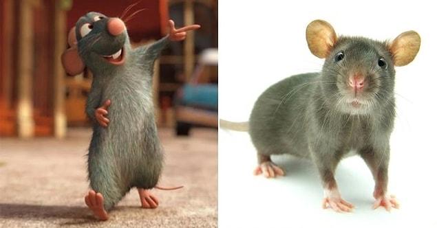 12. Remy – “Ratatouille” / Rat