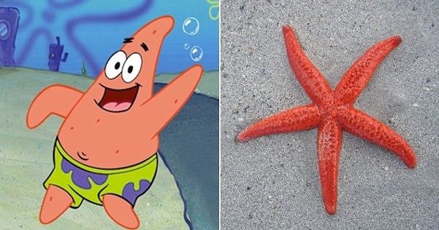 15. Patrick Star- “SpongeBob SquarePants” / Starfish