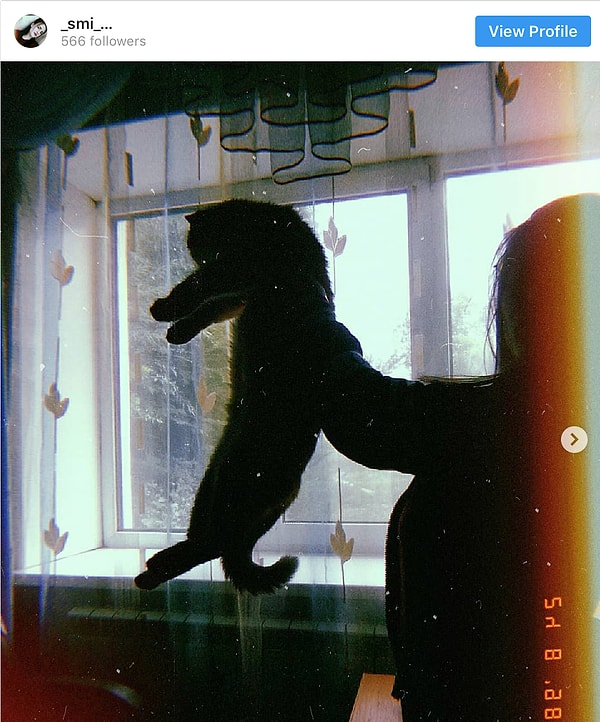 5. «Короли приходят и уходят, как и Солнце. Когда-нибудь, Симба, зайдет солнце моего правления и взойдет с тобой».