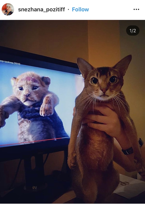 7. «Никогда не забывай о том, кто ты!»