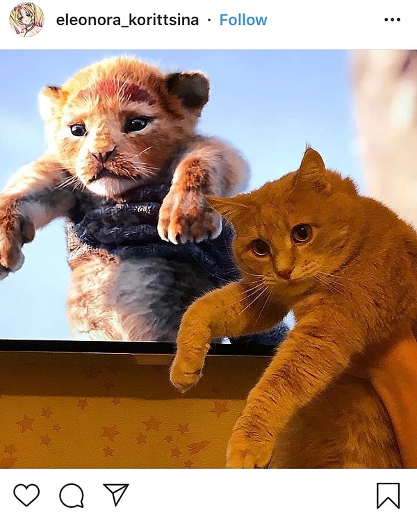 9. Ну чем не король? 👑