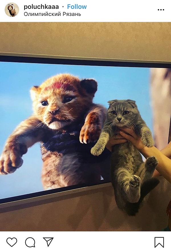 10. Зуб даем, что у вас в голове уже заиграла музыка из мультфильма!