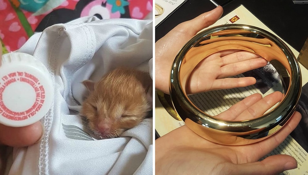 15 фото, которые еще раз доказывают, что все познается в сравнении