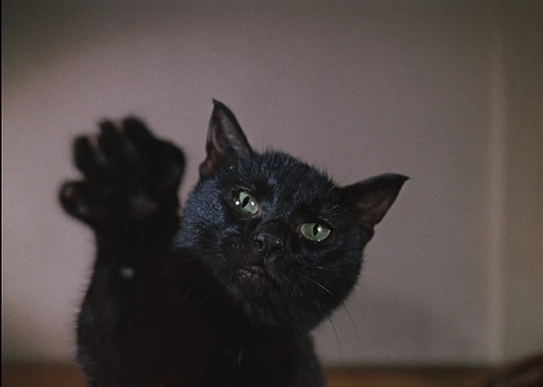 3. Что скажете?