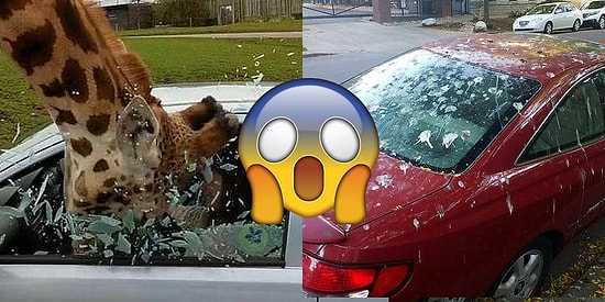 11 фейлов, при виде которых автовладельцы подумают: "Хоть бы со мной такого не случилось"