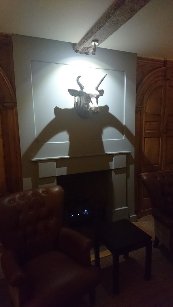 12. Тень от головы быка делает картину пугающей