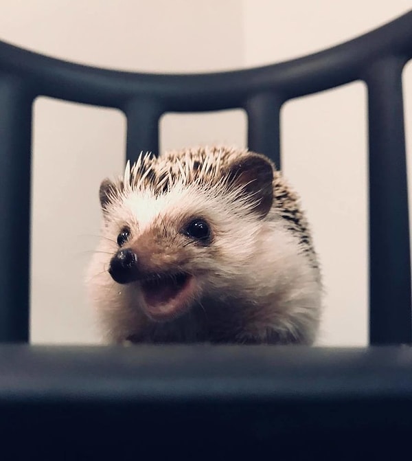 21. Необыкновенно обоятелен