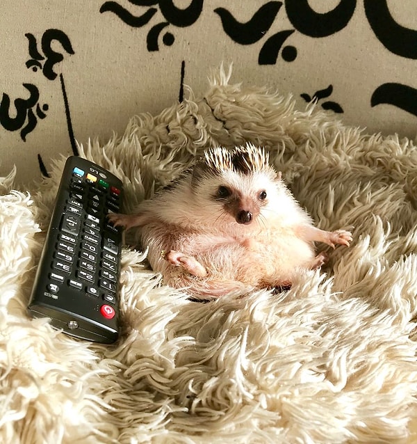 12. Или смотреть мультики!