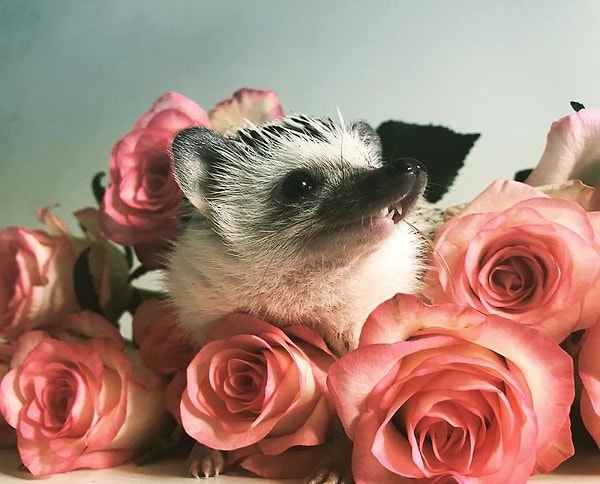 27. Жизнь прекрасна...