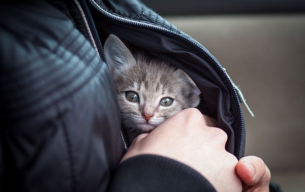 Вы очень добрый человек