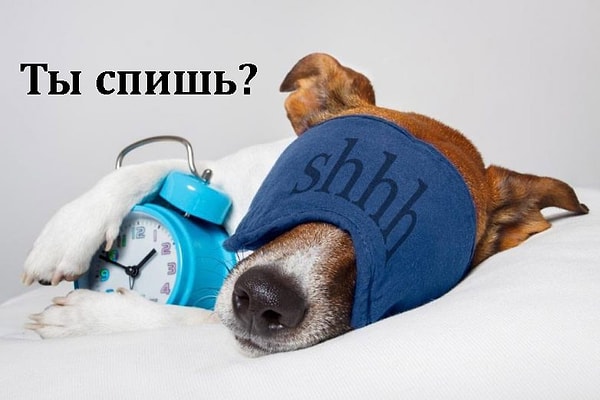 Посмотреть ответ: