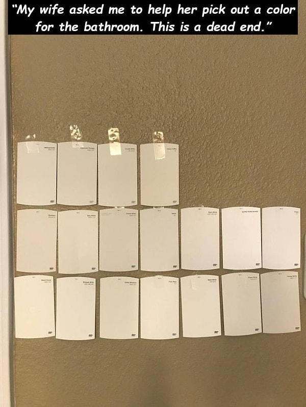 6. "Жена попросила меня выбрать цвет для ванной. Это конец"