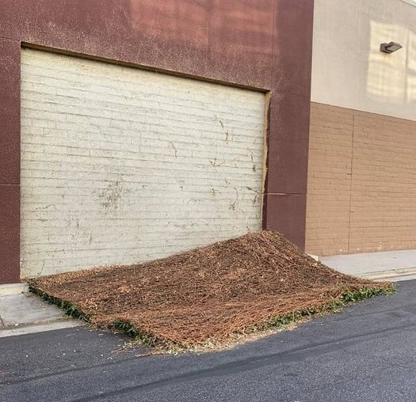 22. У меня всего один вопрос: как?