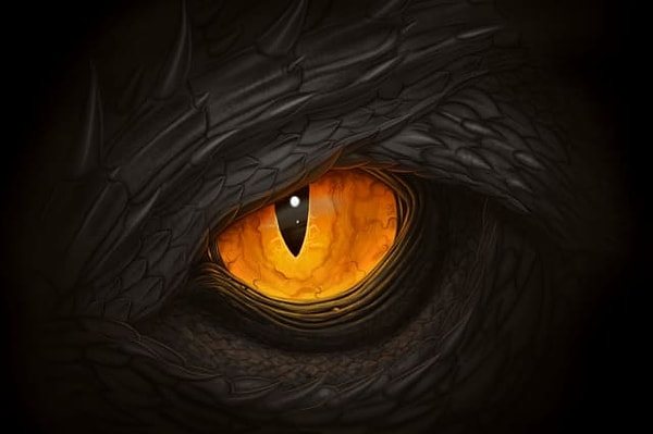 1. Выберите дракона: