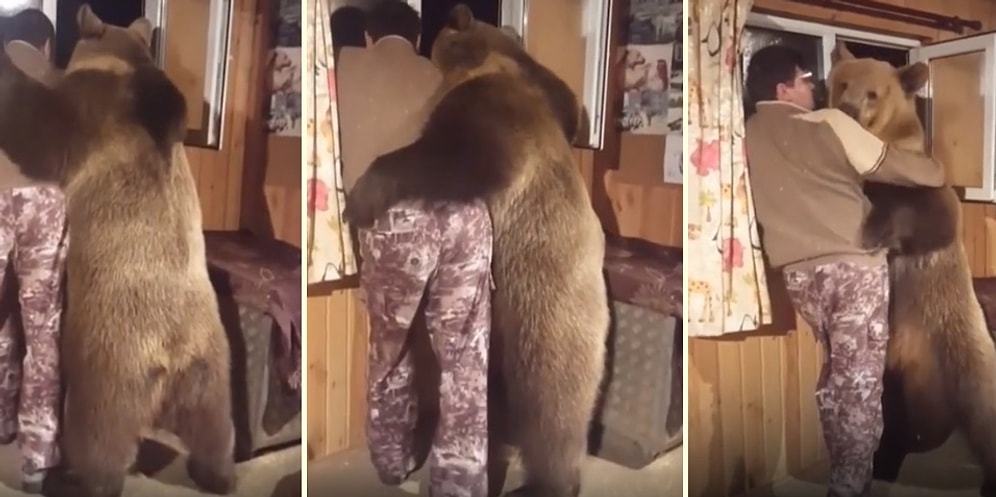 Gerçek Dostluk: İnsan Dostuyla Sarmaş Dolaş Takılan Ayı