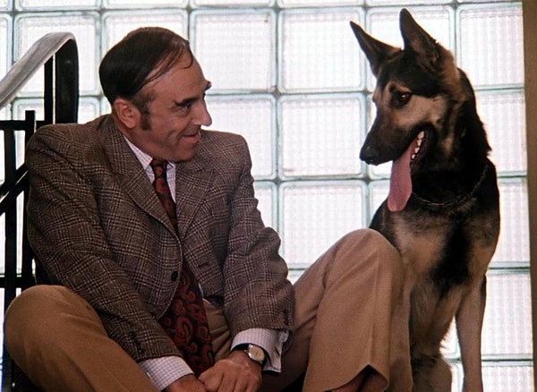 10. Что не было украдено из квартиры Антона Семеновича Шпака в фильме "Иван Васильевич меняет профессию"?