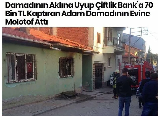 12. Tosun'u da unutmayalım.