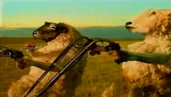 4. Из какой рекламы эти овечки?