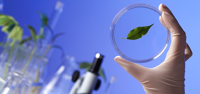 Тест: Ответив на все вопросы по биологии, докажите, что вы на коне