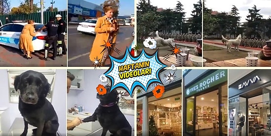 Geçtiğimiz Haftanın Mutlaka İzlemeniz Gereken 10 Videosu