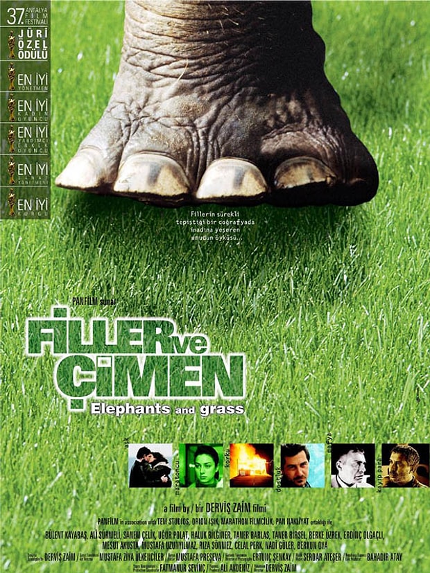 Filler ve Çimen