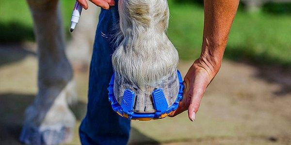 2. Atlar için özel tasarlanmış çelik at nallarının ve tabanların yerini alacak ve hayvanların eklemlerini koruyan özel at "ayakkabıları." Ayrıca kolaylıkla çıkarılabiliyor.