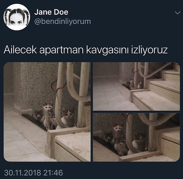 6.