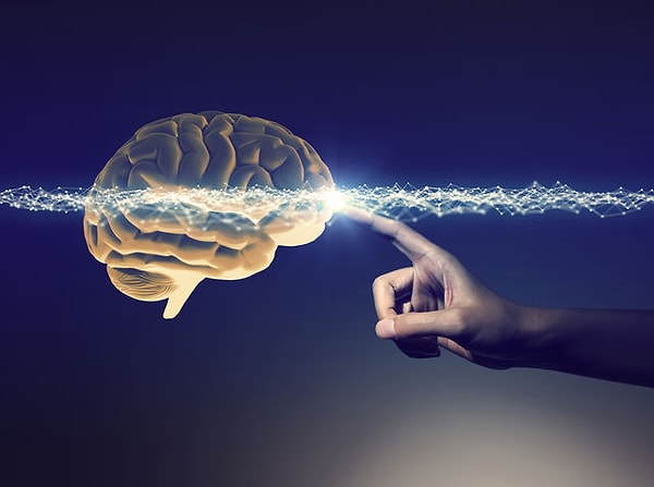 Поздравляем! Вы используете более 10% собственного мозга!