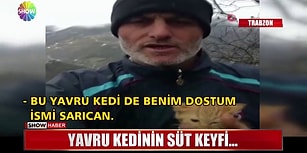 Donmak Üzereyken Bulduğu Yavru Kediye İnek Memesinden Süt Veren Güzel İnsan