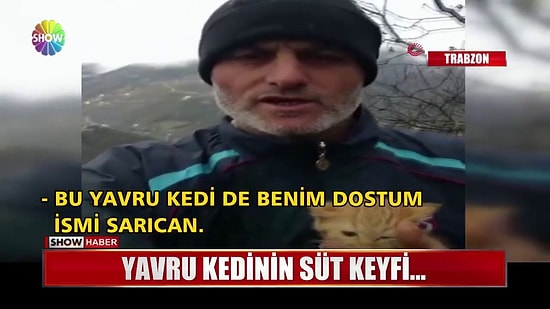 Donmak Üzereyken Bulduğu Yavru Kediye İnek Memesinden Süt Veren Güzel İnsan