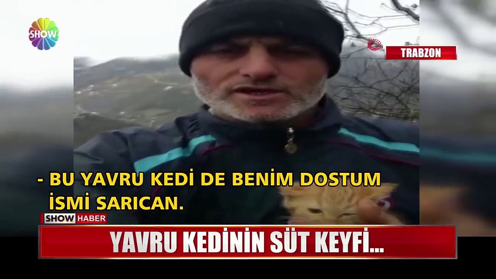 Donmak Üzereyken Bulduğu Yavru Kediye İnek Memesinden Süt Veren Güzel İnsan