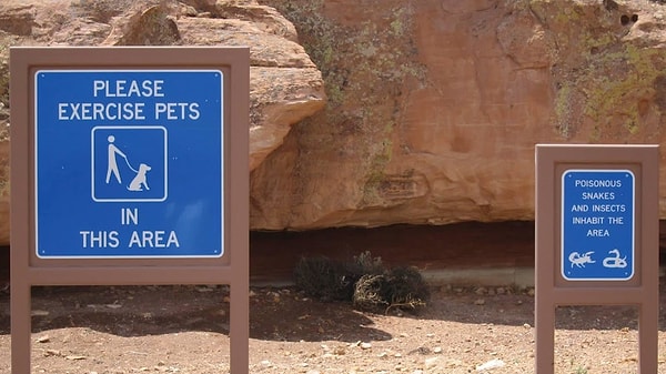 13. На случай, если ваше домашнее животное вам надоело.